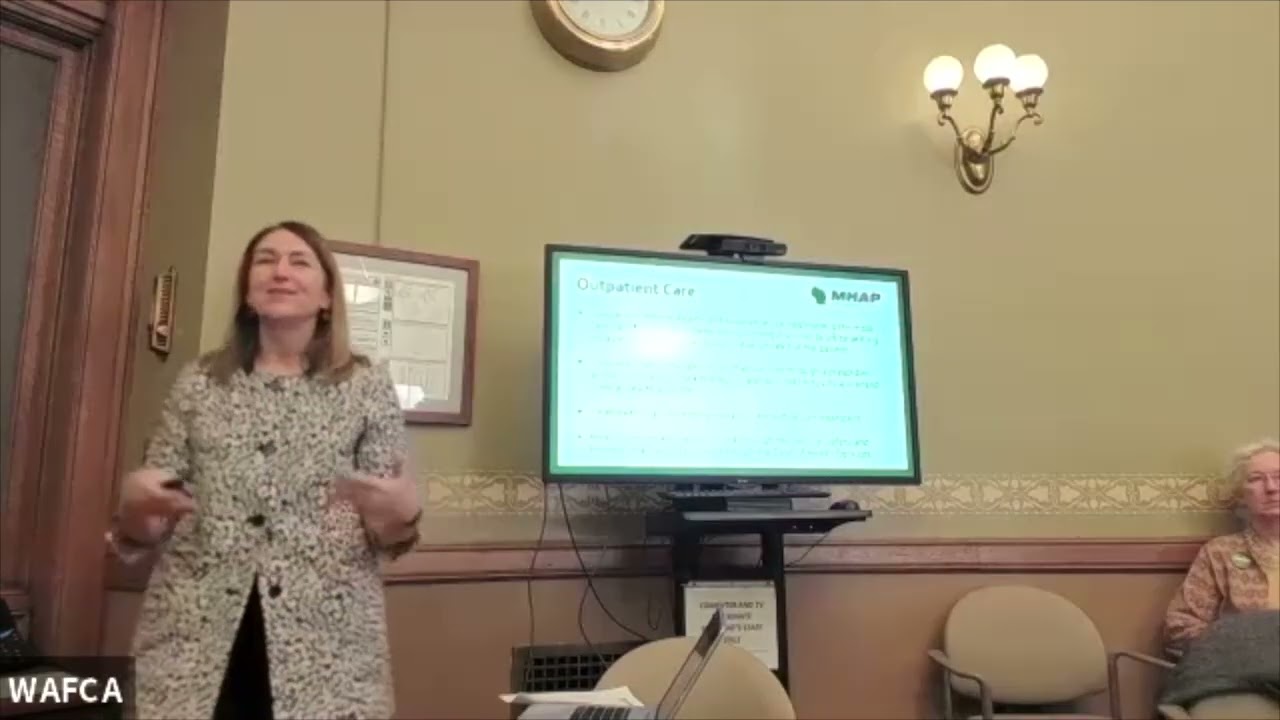 MHAP Mental Health System Overview for Legislators
