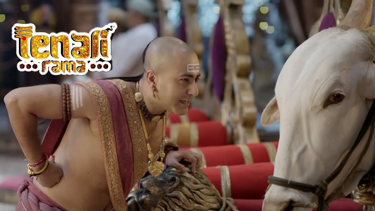 आखिर क्यों लाना पड़ा पंडित रामा कृष्ण को दरबार में बैल | Tenali Rama -तेनाली रामा | Best Comedy
