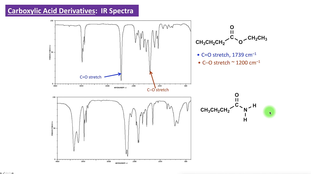 CHEM 2325 Module 24:  IR Spectra of Carboxylic Acid Derivates