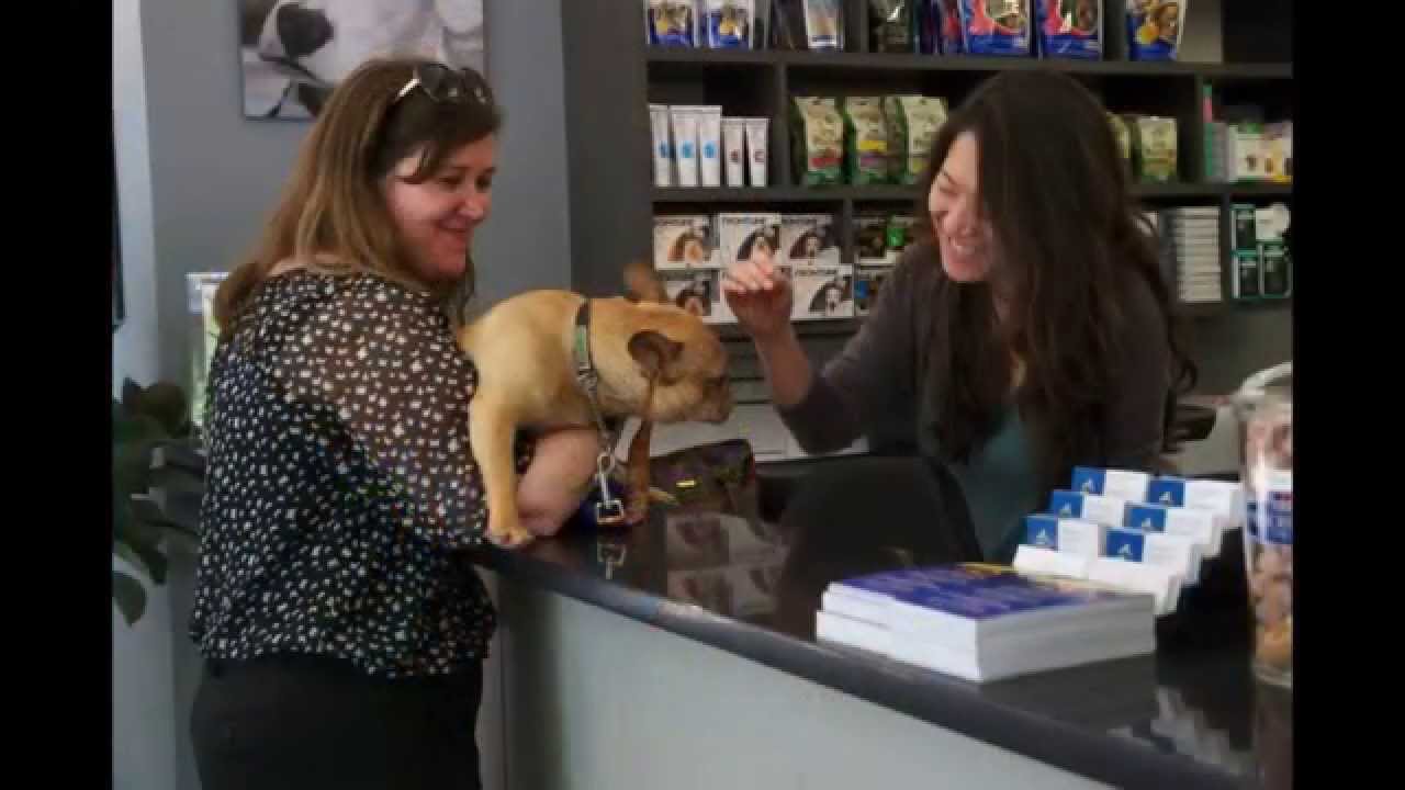 Seaport Animal Hospital Tour