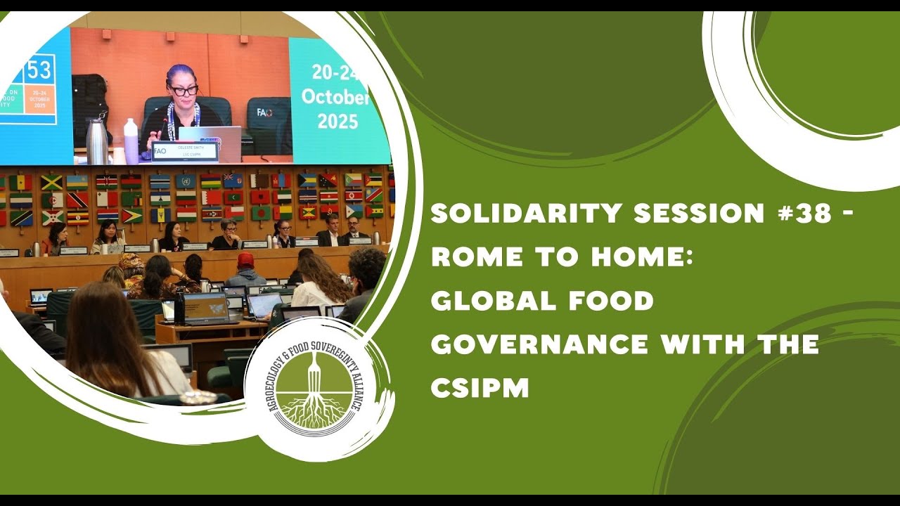 Solidarity Sesssion #38 - Rome to Home: Global food governance with the CSIPM