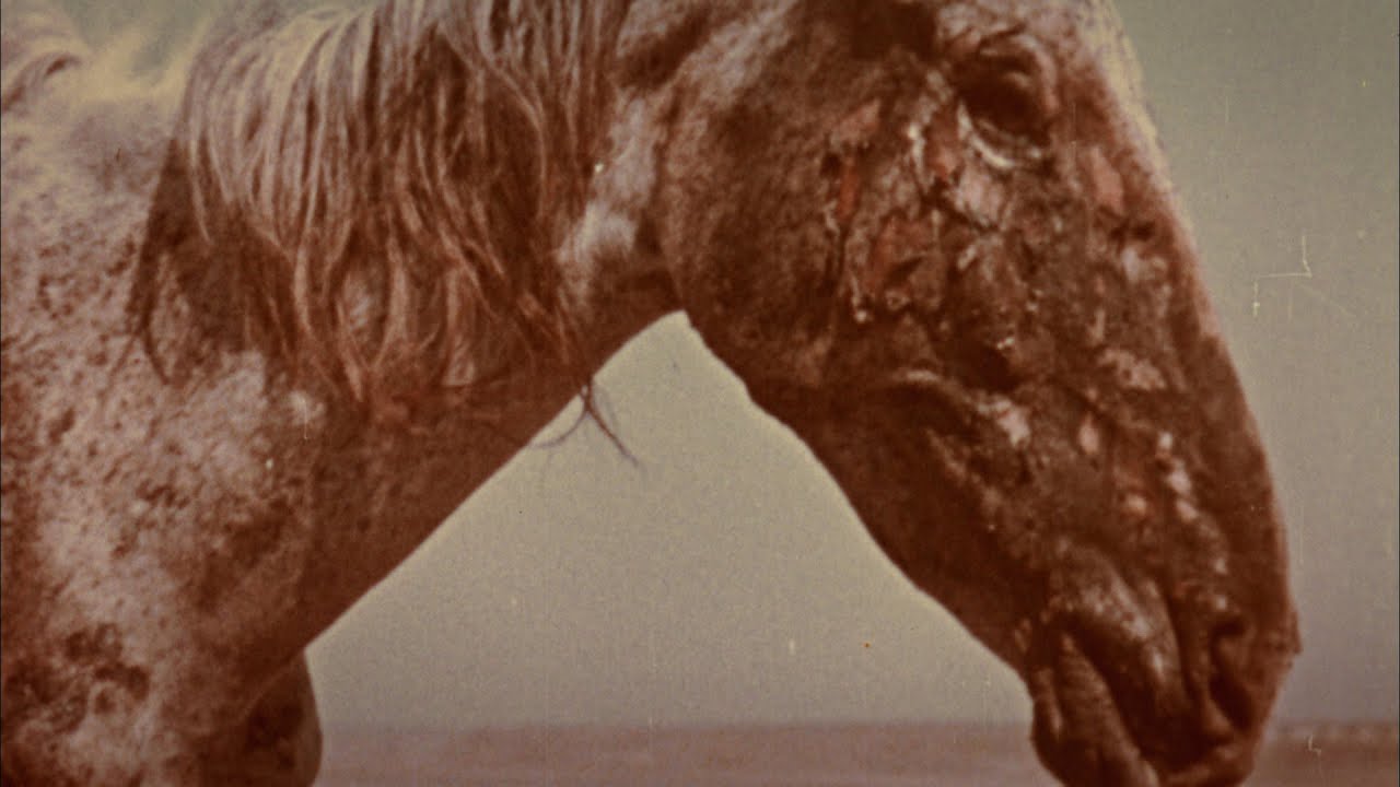A Cruel Wind Blows: The Soviet Nuclear Legacy