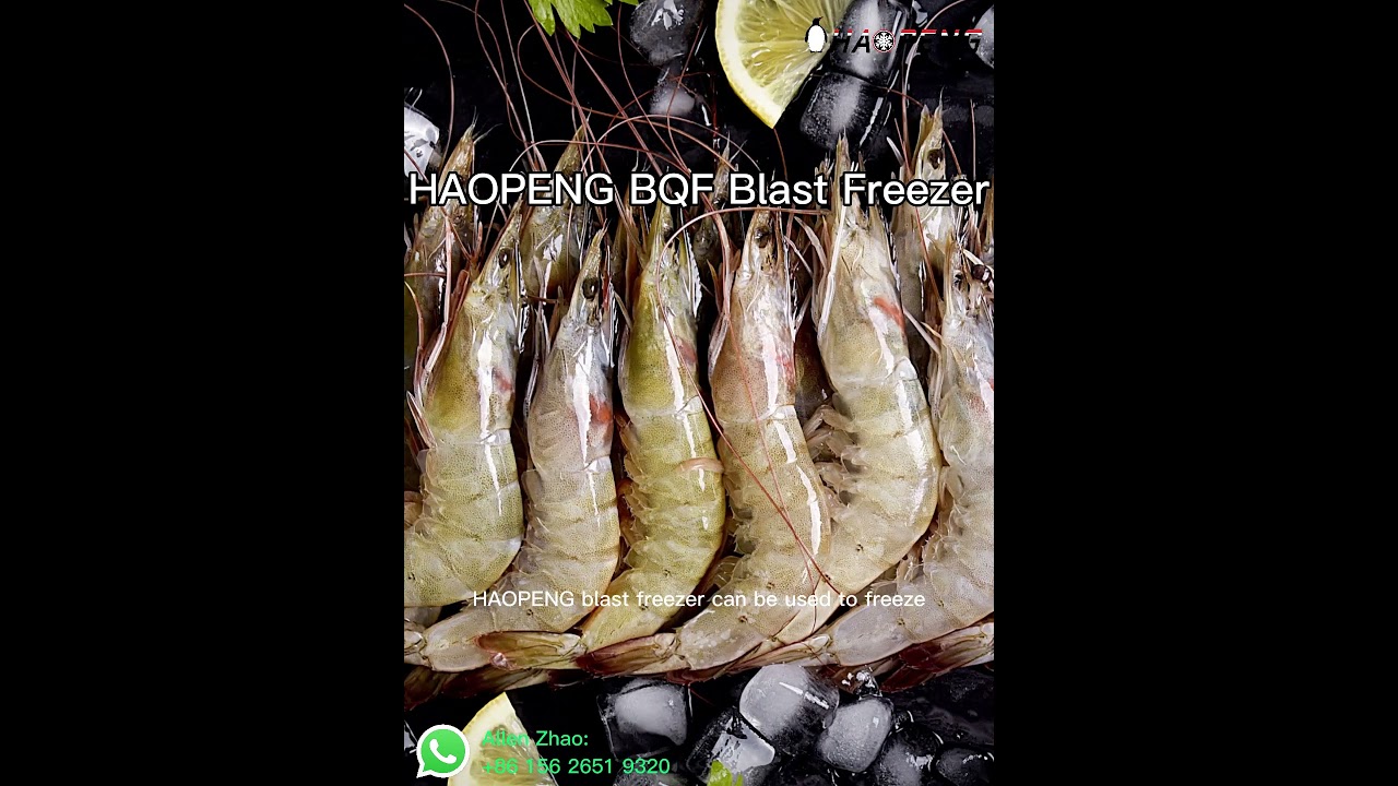 Quick and Efficient Freezing with HAOPENG Blast Freezer