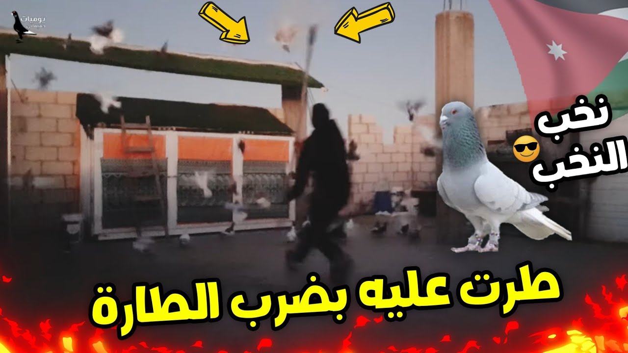 بلع طارة أسطورية على الطاير  صيد عبسي نخب 🔥🔥