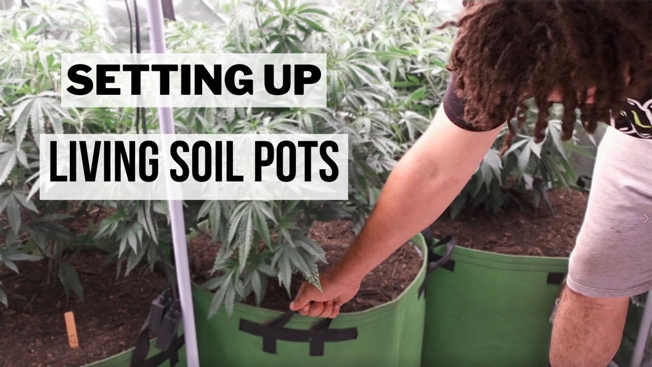 Warehouse Tent Grow: Round 1 - Setting Up Living Soil Pots