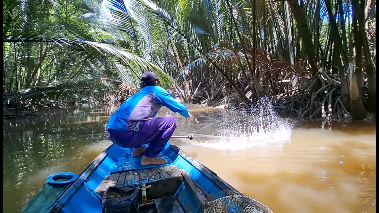Udang disungai kecil ini semakin melimpah,Sambaran ikan pun mulai ramai