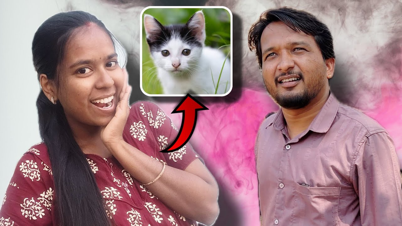 ಸುನೀತಾಗಂತ ಬೆಕ್ಕಿನ ಮರಿ ಕೊಟ್ಟೆ | ತುಂಬ ಖುಷಿಪಟ್ಲು 