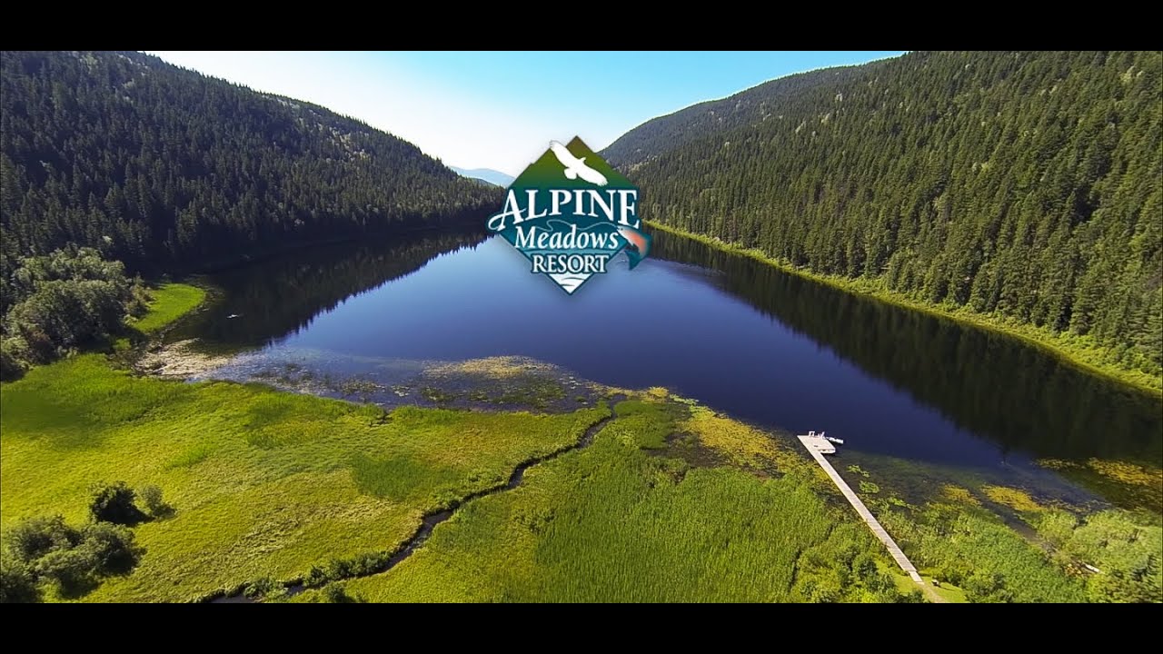 Alpine Meadows Resort - Top Rated Resort in Clearwater BC