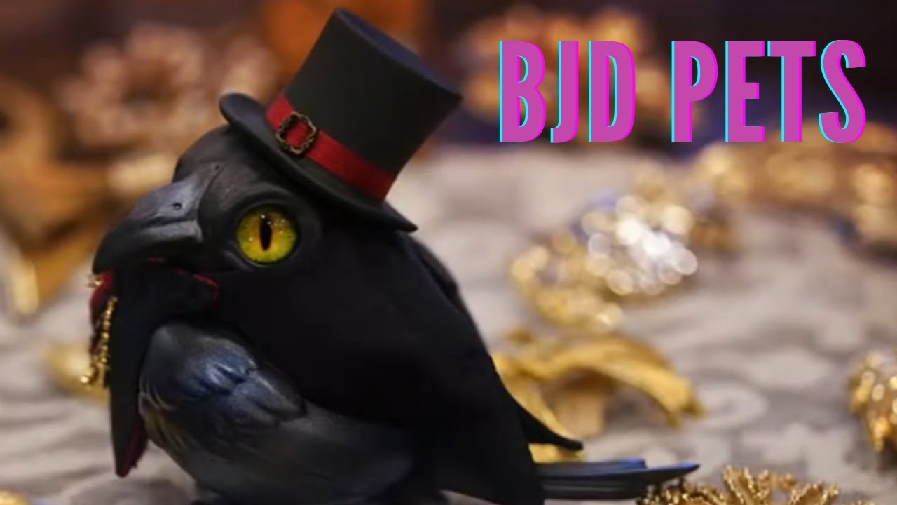 AsenvaBJD Dolly Talk Tue! BJD Pets!