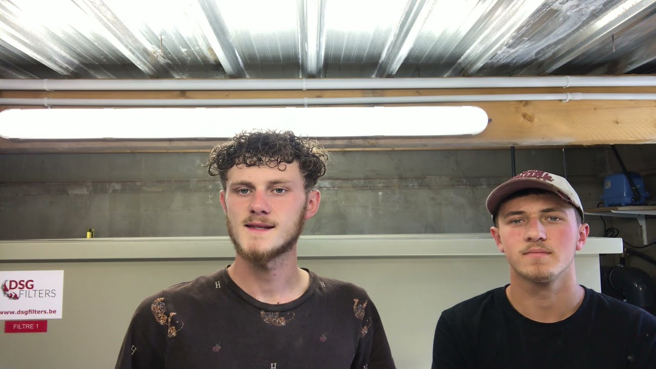 Réalisation d'un bassin de A à Z Partie 4 filtration