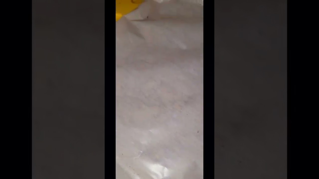 dry ice extraction