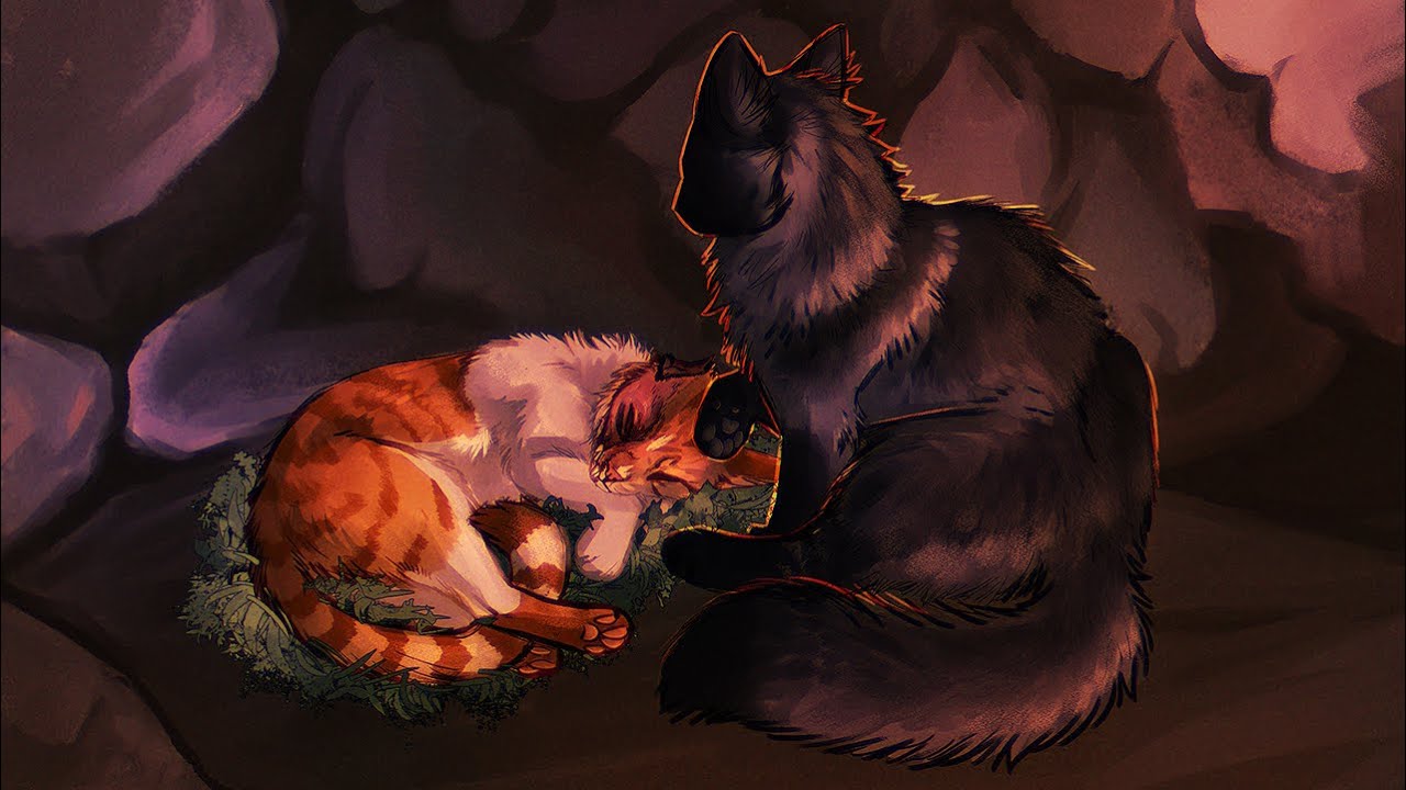Top 20 Warrior Cats That Deserved Better