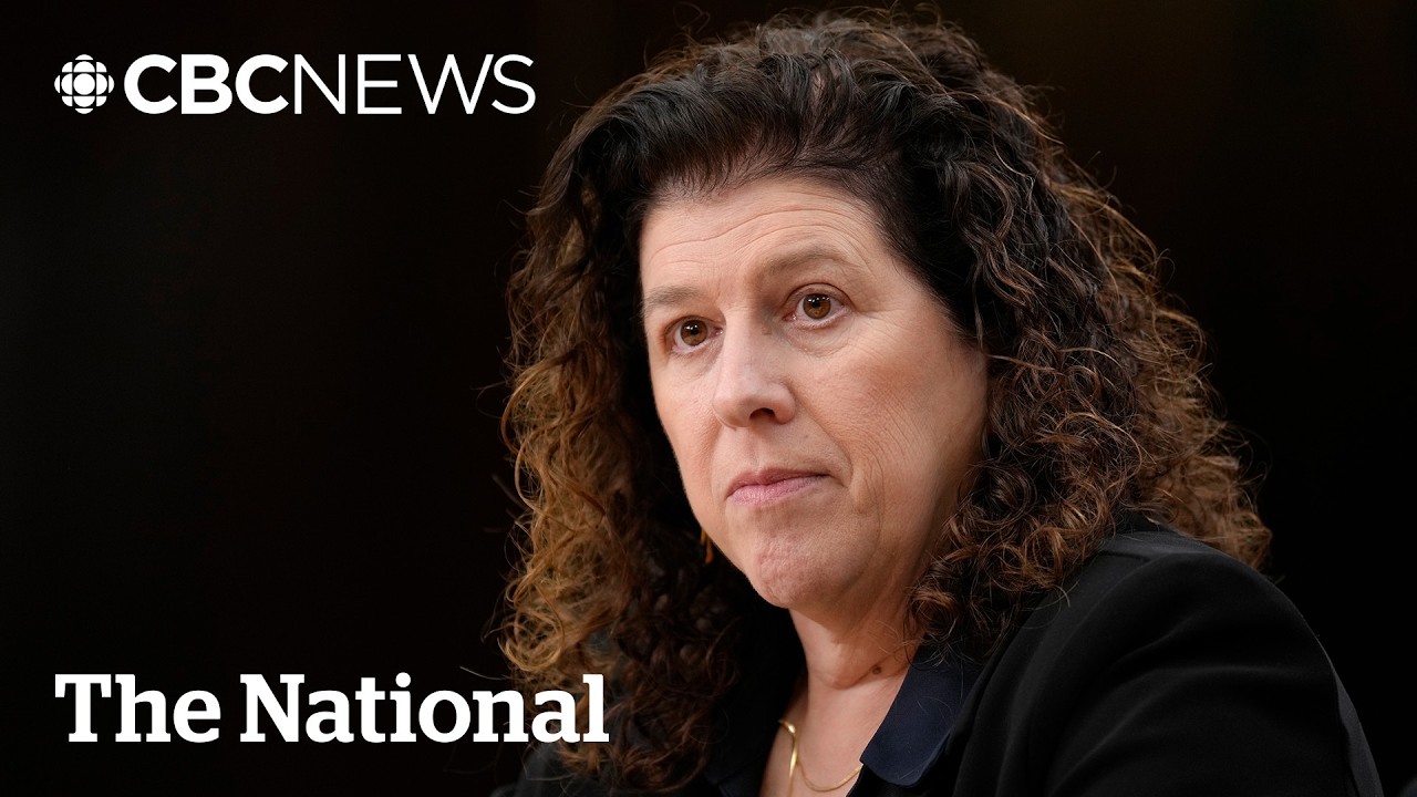 Potential international student fraud not being investigated: auditor general