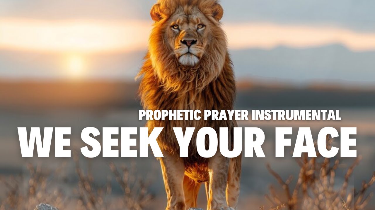 Prophetic Prayer Instrumental | Intercession | Meditation | Shofar | 8 hours