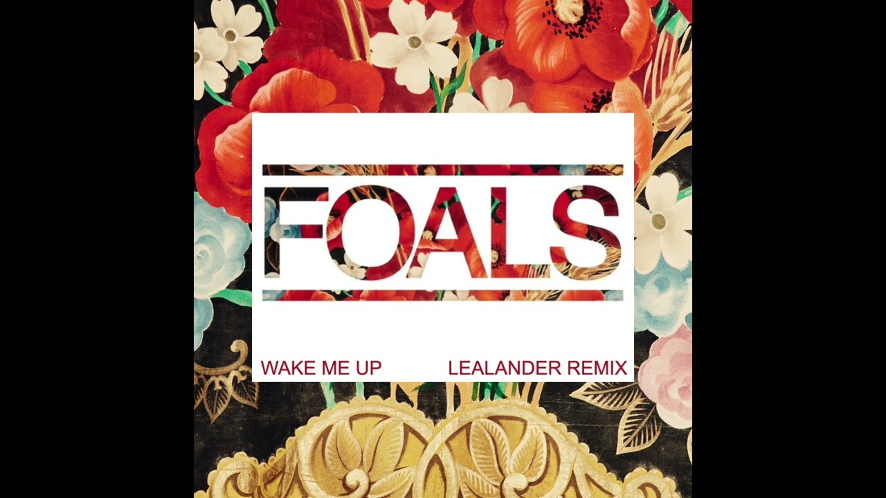 Foals &mdash; Wake Me Up (Lealander Remix)