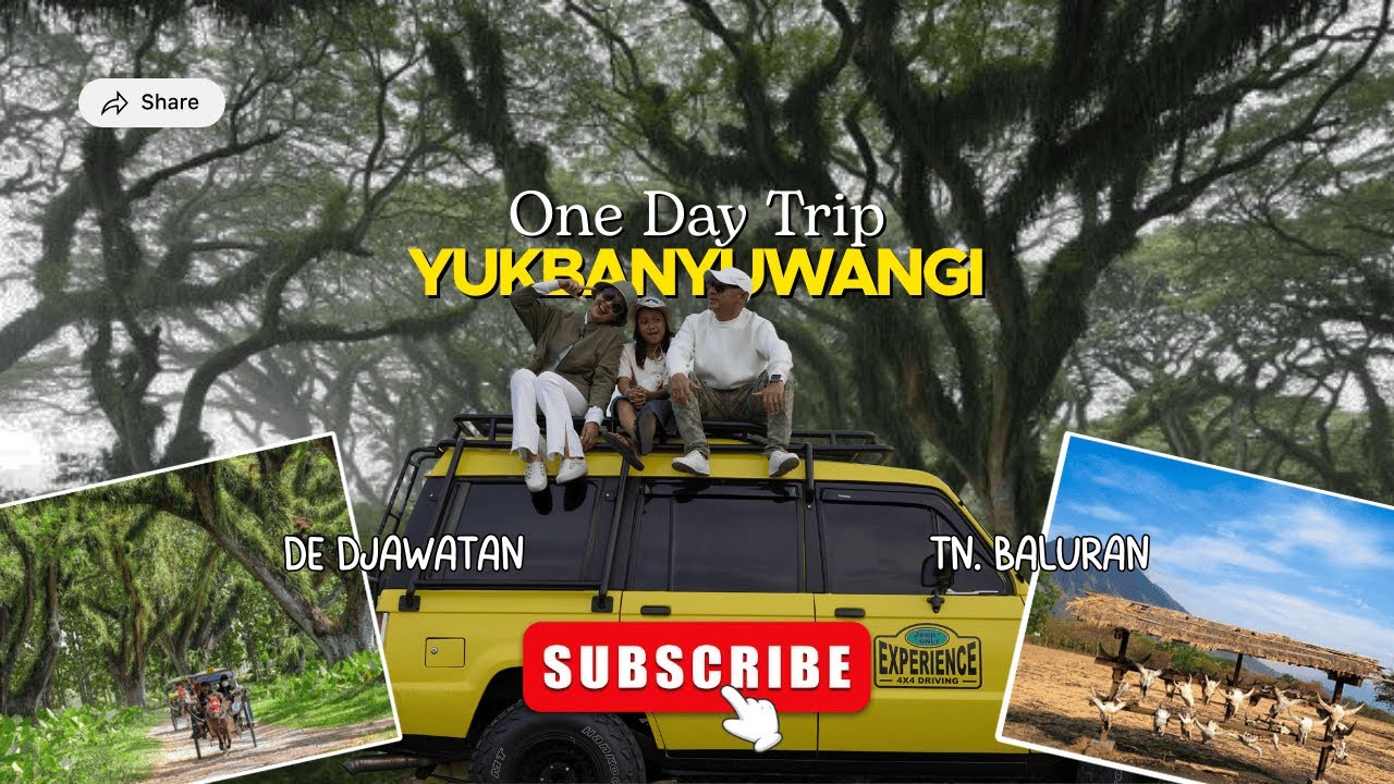 Magisnya Hutan Fangorn & Serunya Safari Trip Bisa Dinikmati dalam Sehari di sini!! I YUKBANYUWANGI