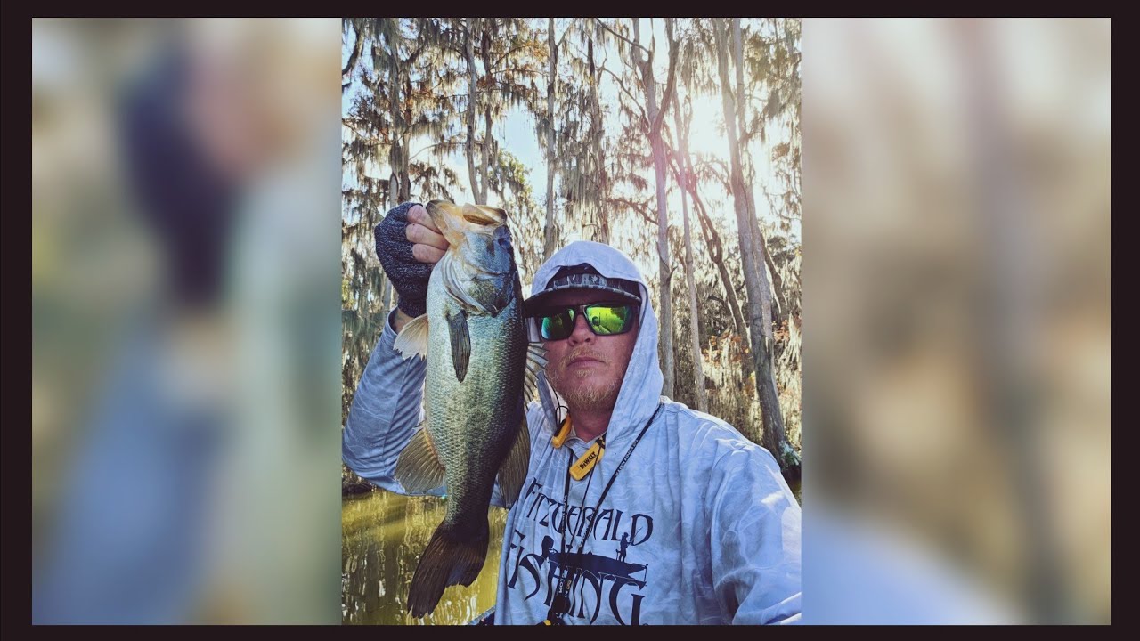 Catching Them in the Trees!