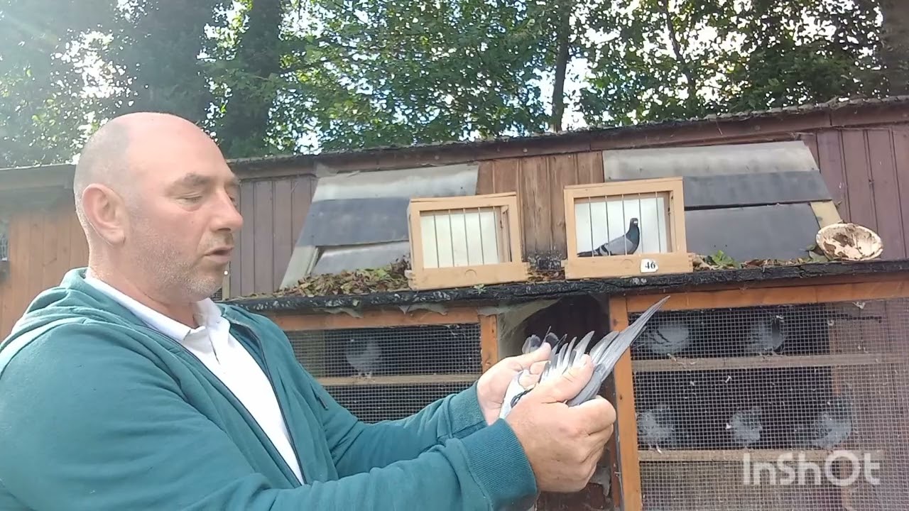 Na pierzenie   dziala ocet  jabkowy 5 %