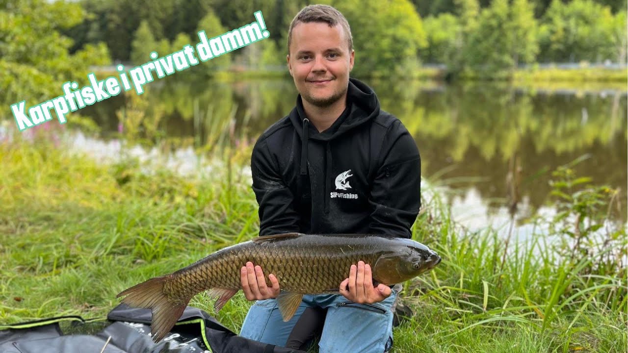 Karpfiske i Privat Damm!