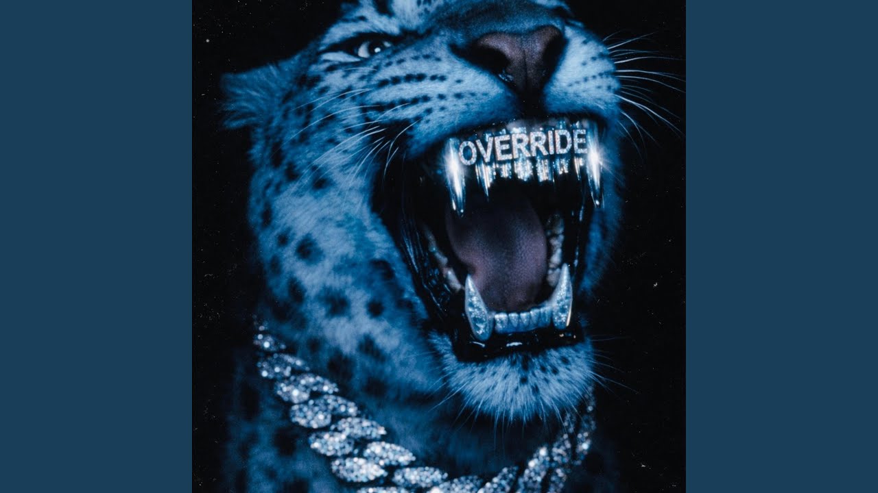 OVERRIDE