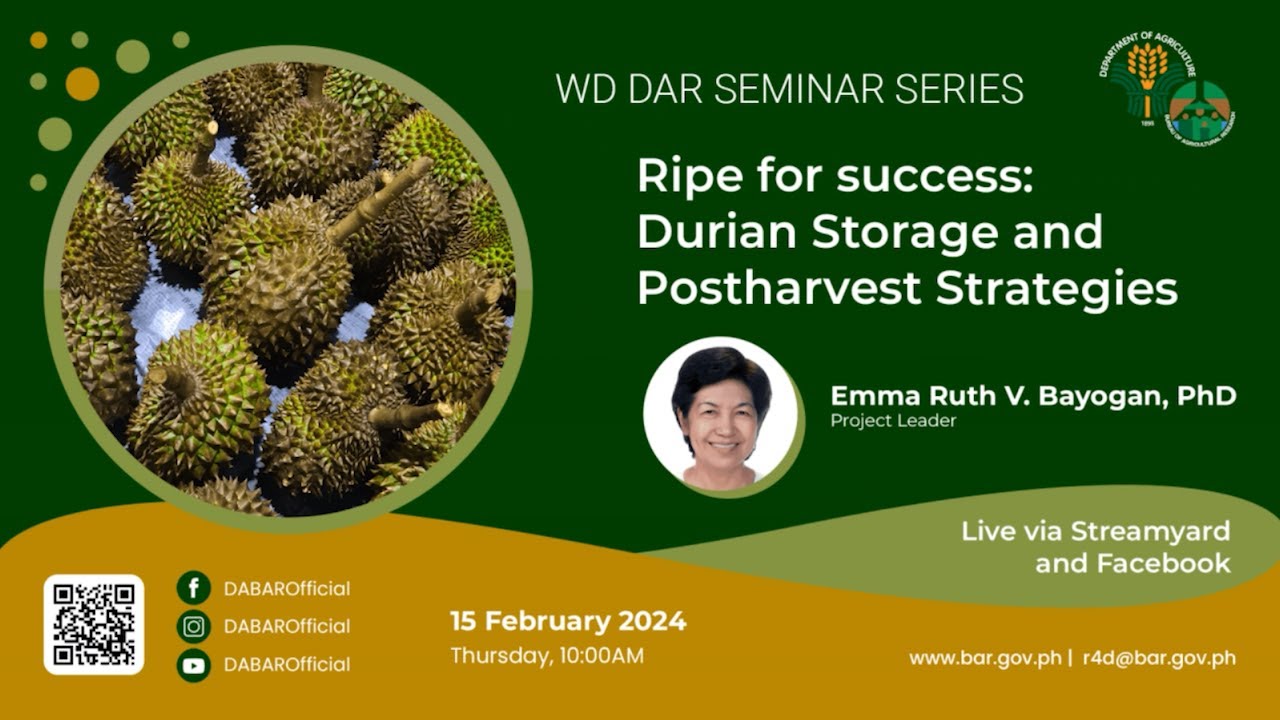 Ripe for success: durian storage and postharvest strategies