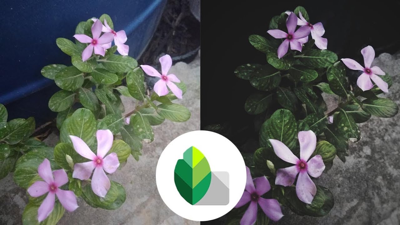 Snapseed Tutorial for beginners : HOW TO EDIT PICTURE LIKE A PRO
