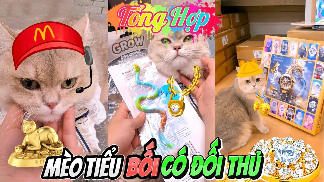 [TỔNG HỢP] Mèo Tiểu Bối Có Đối Thủ Tìm Kho Báu | Mới Nhất (Quỳnh Vịt)