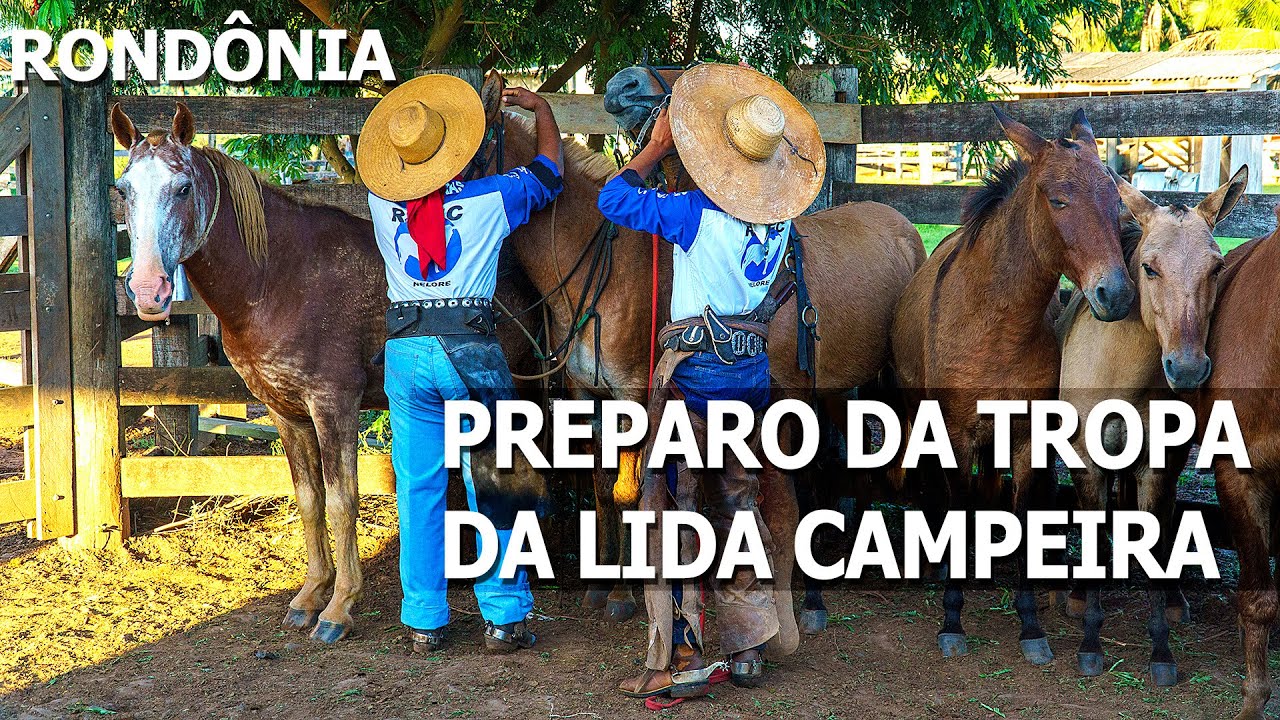 PREPARO DA TROPA DE SERVIÇO PARA A LIDA CAMPEIRA - ARIQUEMES, RONDÔNIA