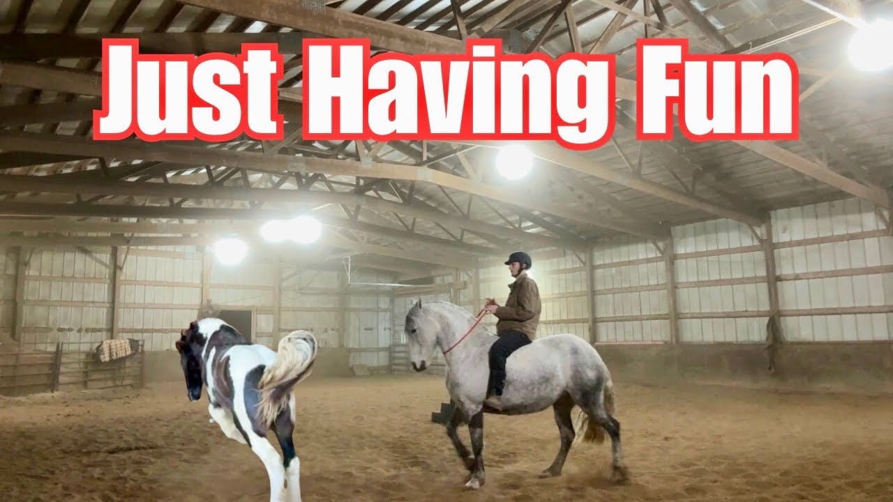 From Young Horse Zoomies to Polished Liberty & Riding