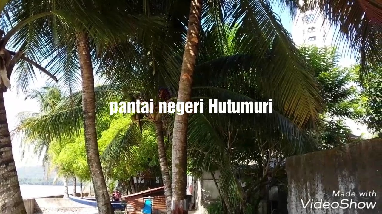 Kelapa muda