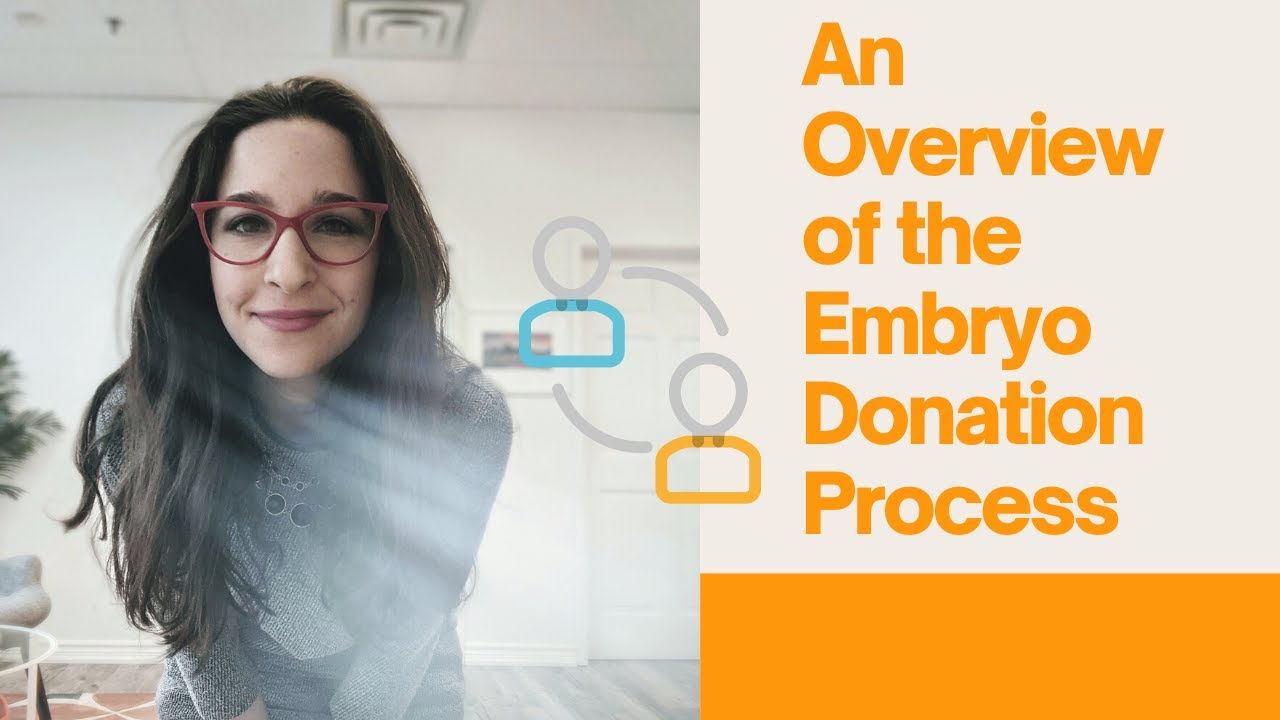 An Overview of the Embryo Donation Process