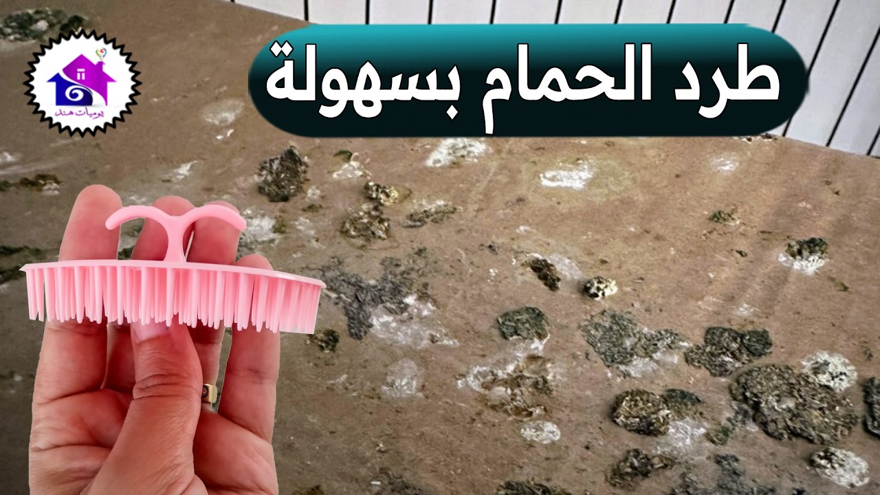 طرد الحمام 🧐 تدابير منزلية لابعاد الحمام من النوافذ (بدون أذى)