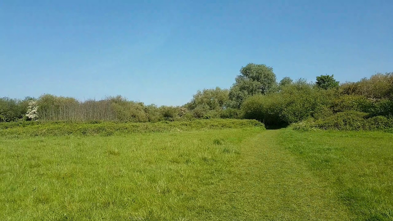 The Joy of Hackney Marshes (inc Leyton etc)