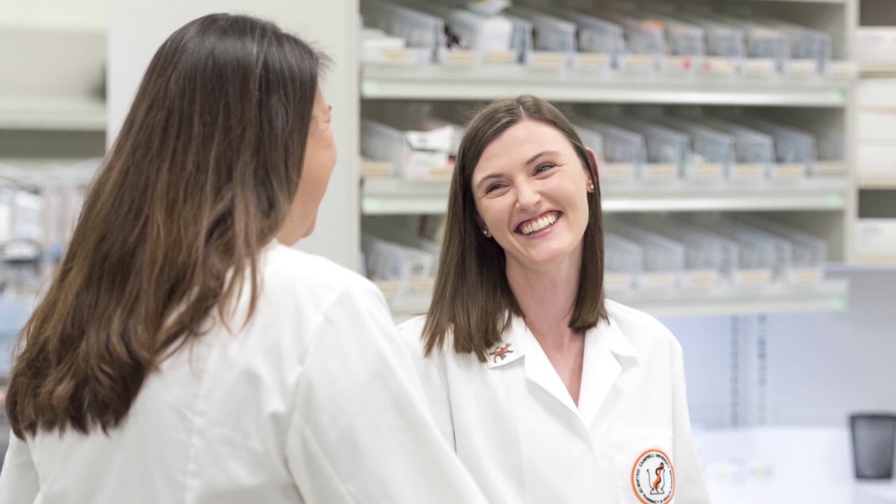 Campbell University Pharmacy Program