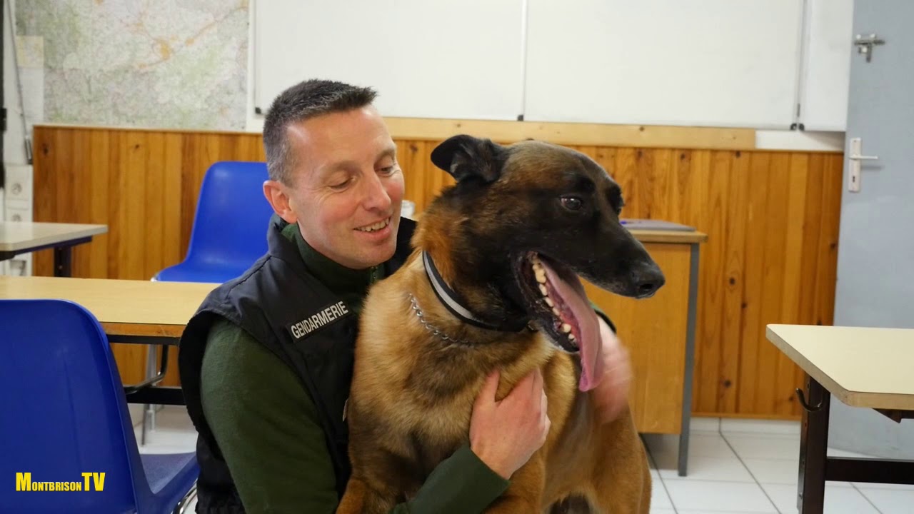 Au coeur de l'équipe Cynophile de la Gendarmerie.