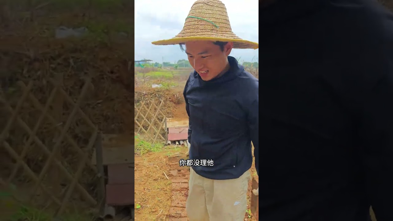 小院的菜地是我们一直的痛！ 我们做了一个大大的决定！必须把地种好! #乡村生活家 #农村生活 #改造小院 #种菜 #农村原创视频