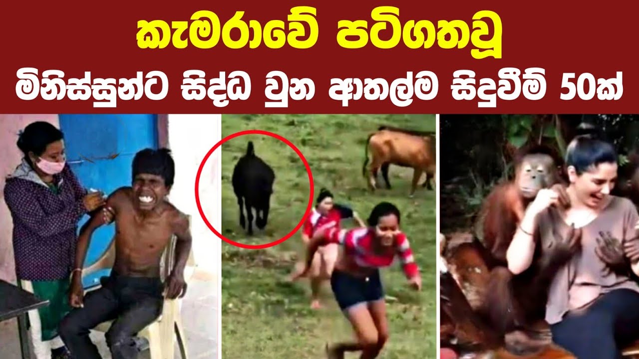 බඩ අල්ලන් හිනා වෙන්න පුළුවන් ආතල්ම සිද්ධි 50ක් | 50 Best Funniest Moments Caught On Camera