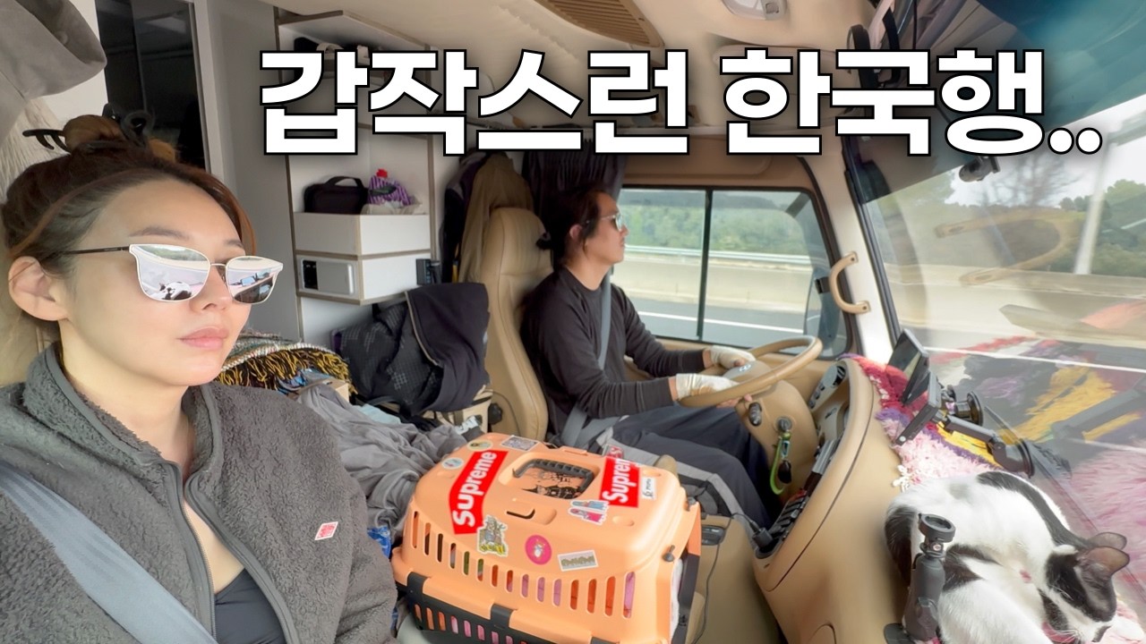 (72) 우리 부부가 급하게 한국으로 돌아온 이유..🇰🇷