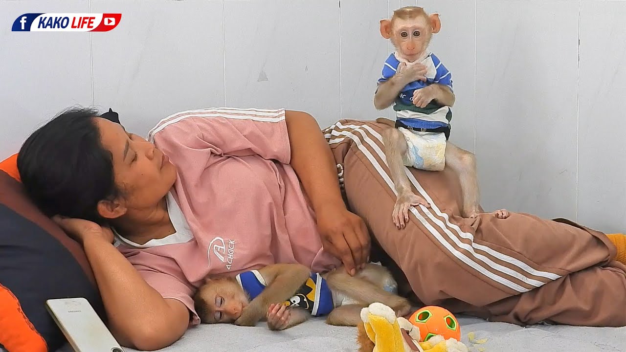 Cute Boy Luka Sit On Mom's Leg With Plays Toys