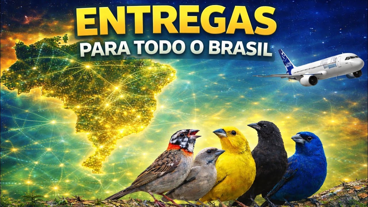 AVES RARAS A VENDA.