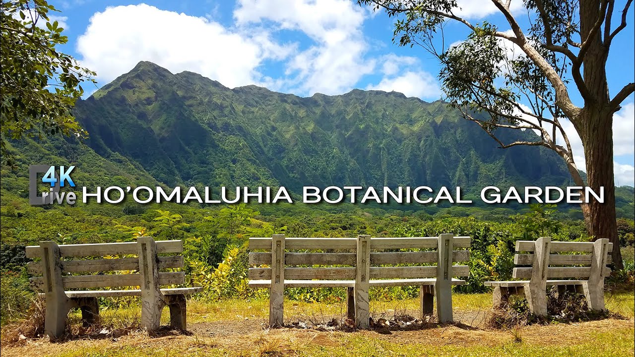 Hoomaluhia Botanical Garden Campsites | From Honolulu | Kaneohe, Oahu 🌈 Hawaii 4K Driving