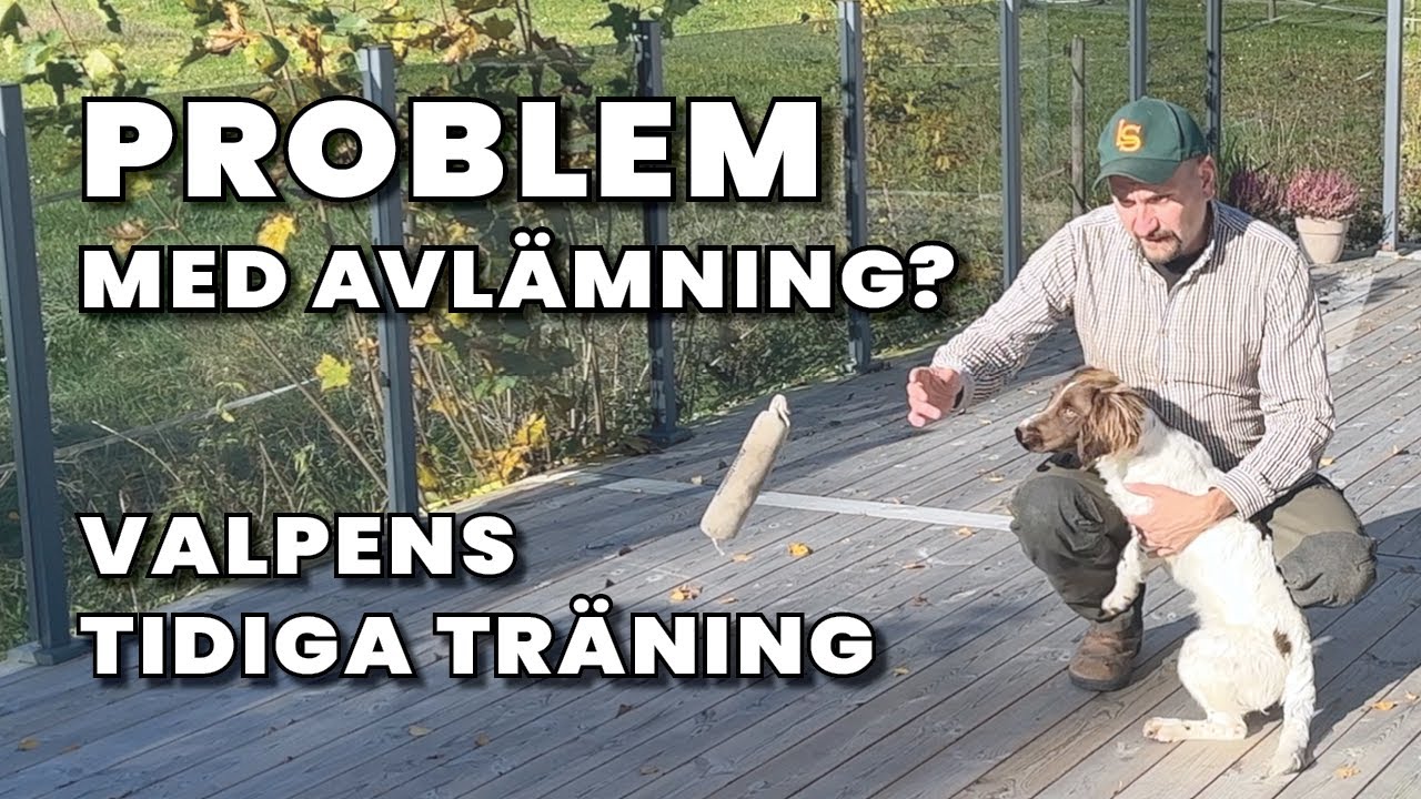 Apportering med valp, vad gör vi när vi får problem med avlämningen?