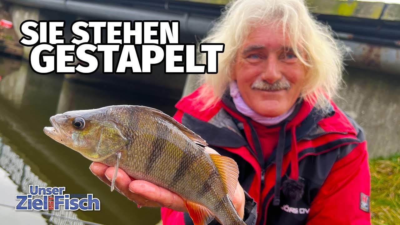 FROSTNACHT: WO sind AKTIVE FISCHE? RAUBFISCH ALLERLEI mit JÖRG OVENS - Unser Ziel ist Fisch