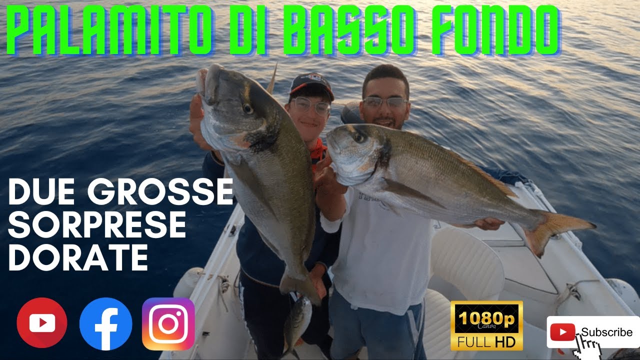 PALAMITO DI BASSO FONDO DUE GROSSE SORPRESE DORATE HD