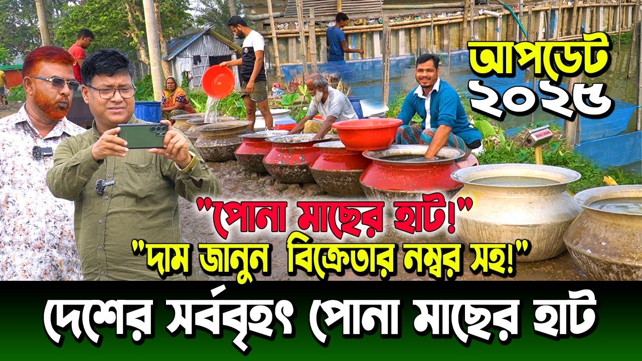 🔥 ২০২৫ সালের সেরা পোনা মাছের হাট! কোথায় কত দামে পোনা মাছ পাবেন বিক্রেতার নম্বরসহ তথ্য!