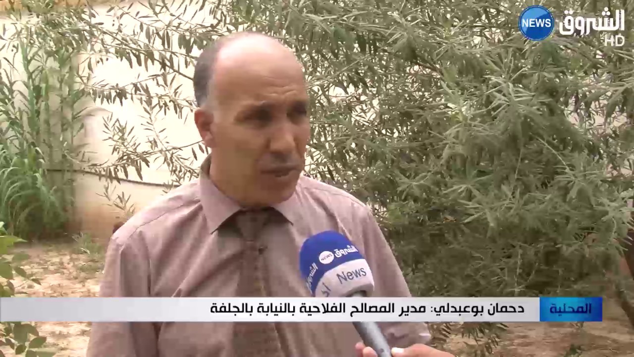 الجلفة: إنتاج 168 ألف قنطار مشمش هذه السنة