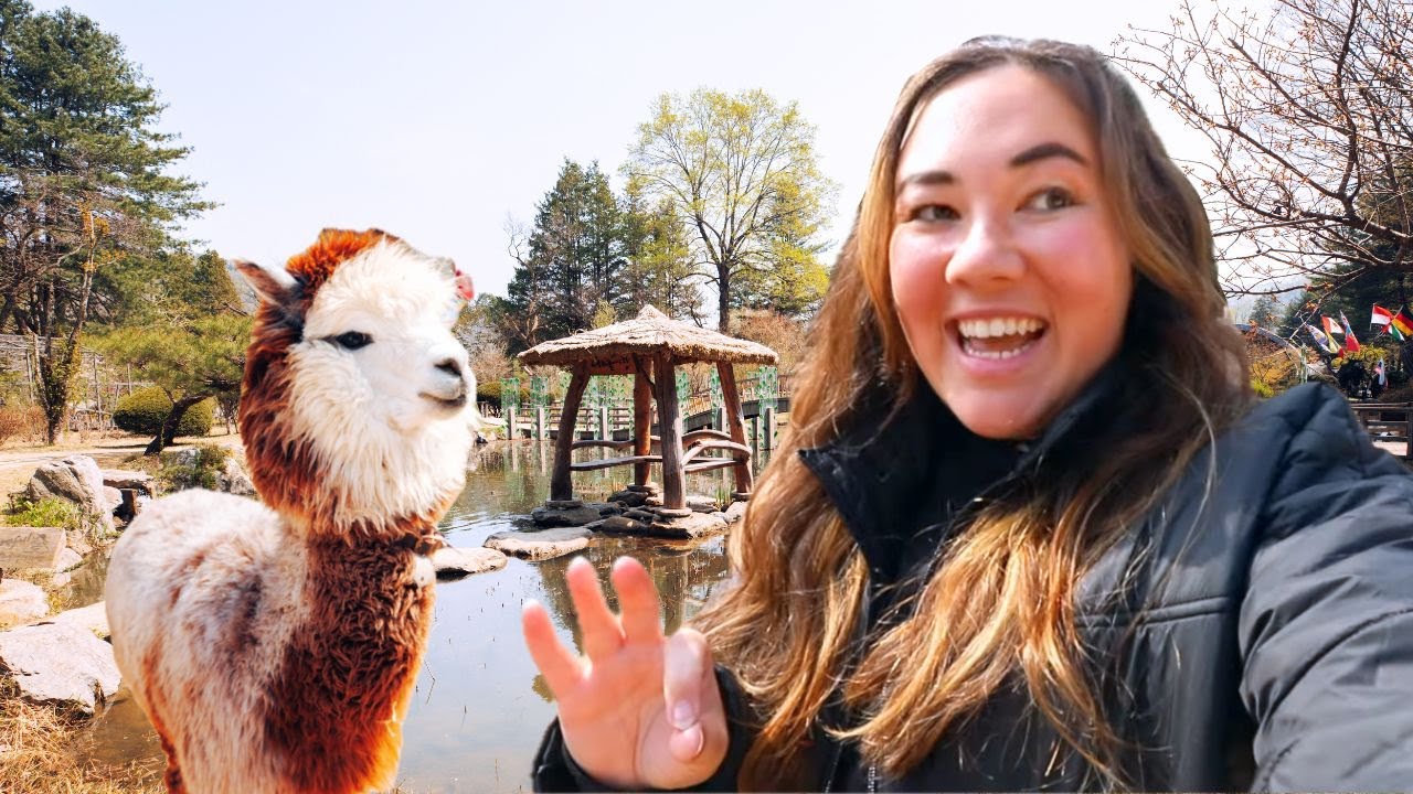 BEST DAY TRIP from SEOUL SOUTH KOREA (nami island & alpaca world)