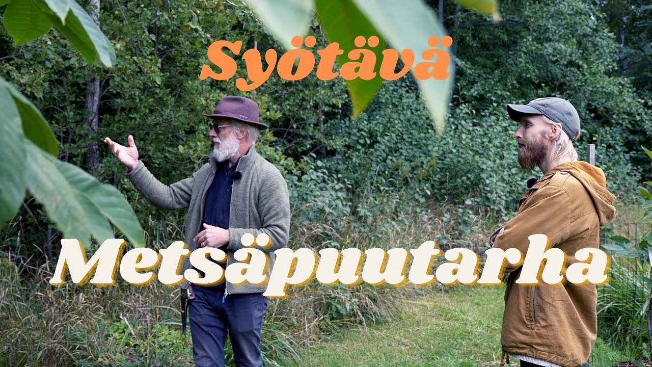 Syötävä metsäpuutarha | Permakulttuuria Iso-orvokkiniityllä (ep. 3/6)