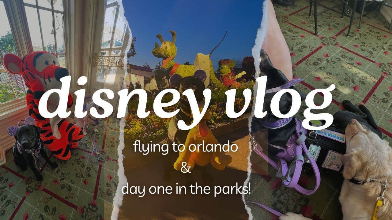 double dogging @ disney | service dog vlog