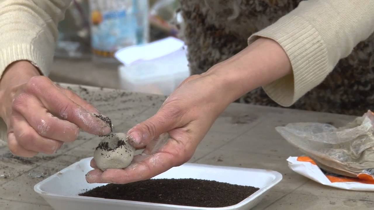Vivir Sano - Clases de Huerto - Bolitas de Arcilla